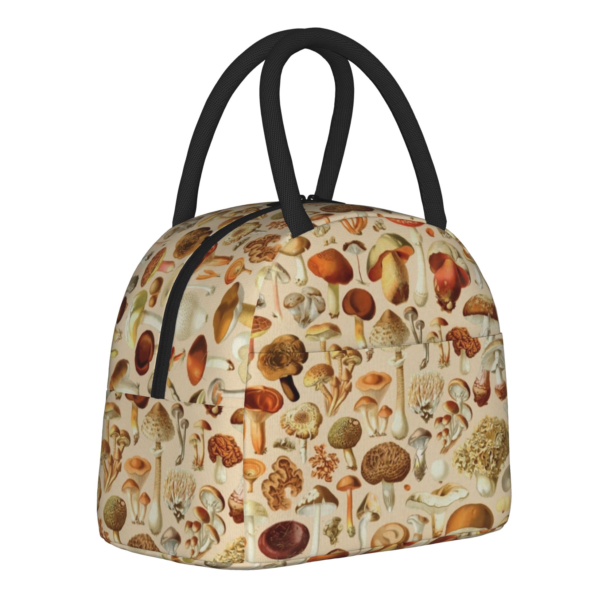 กระเป๋าเก็บอาหารกลางวันแบบมีฉน - Vintage Collectible Lunch Boxes บทวิจารณ์และราคา